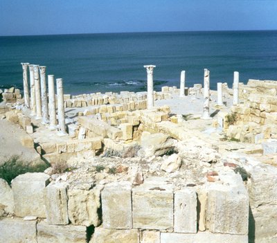 Vista delle terme da Roman